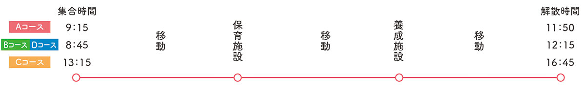 スケジュール