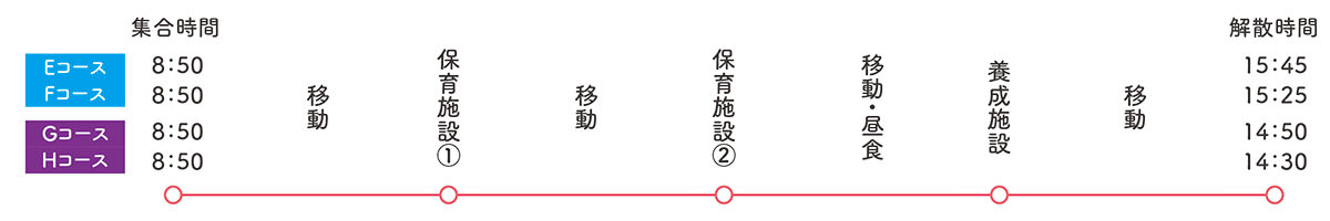 スケジュール